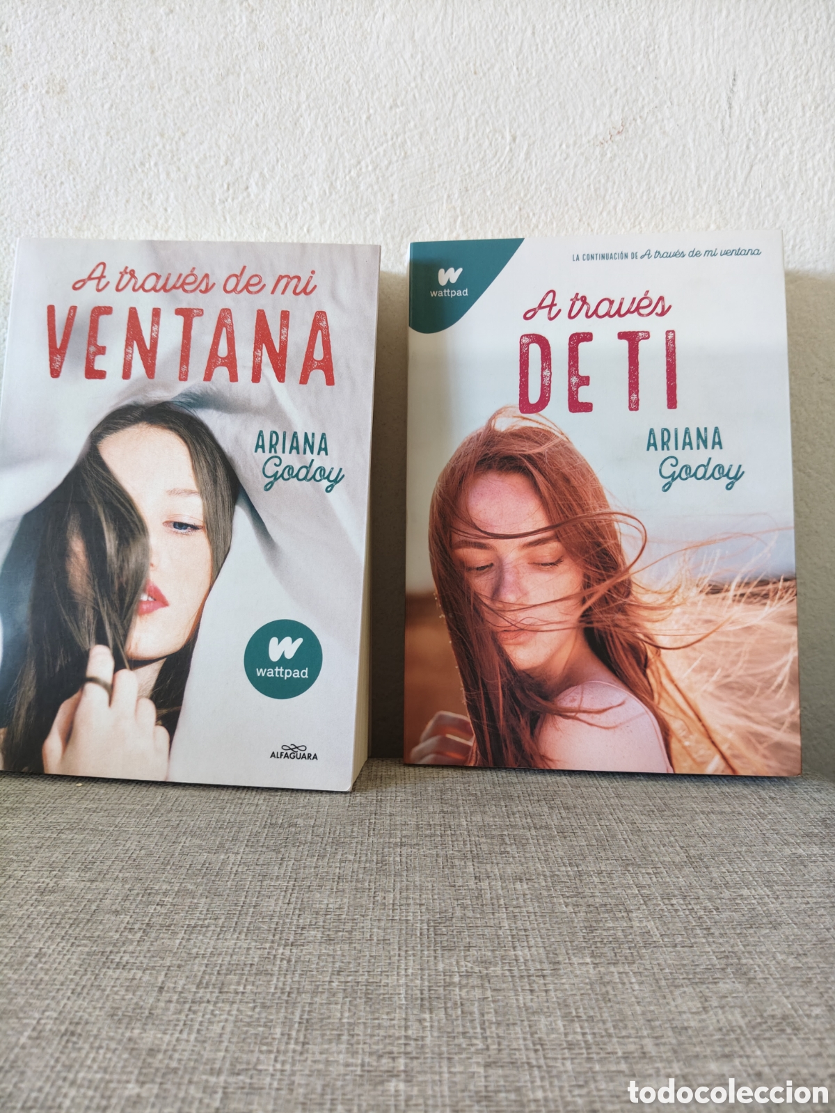 Libros: Pack dos libros ariana Godoy