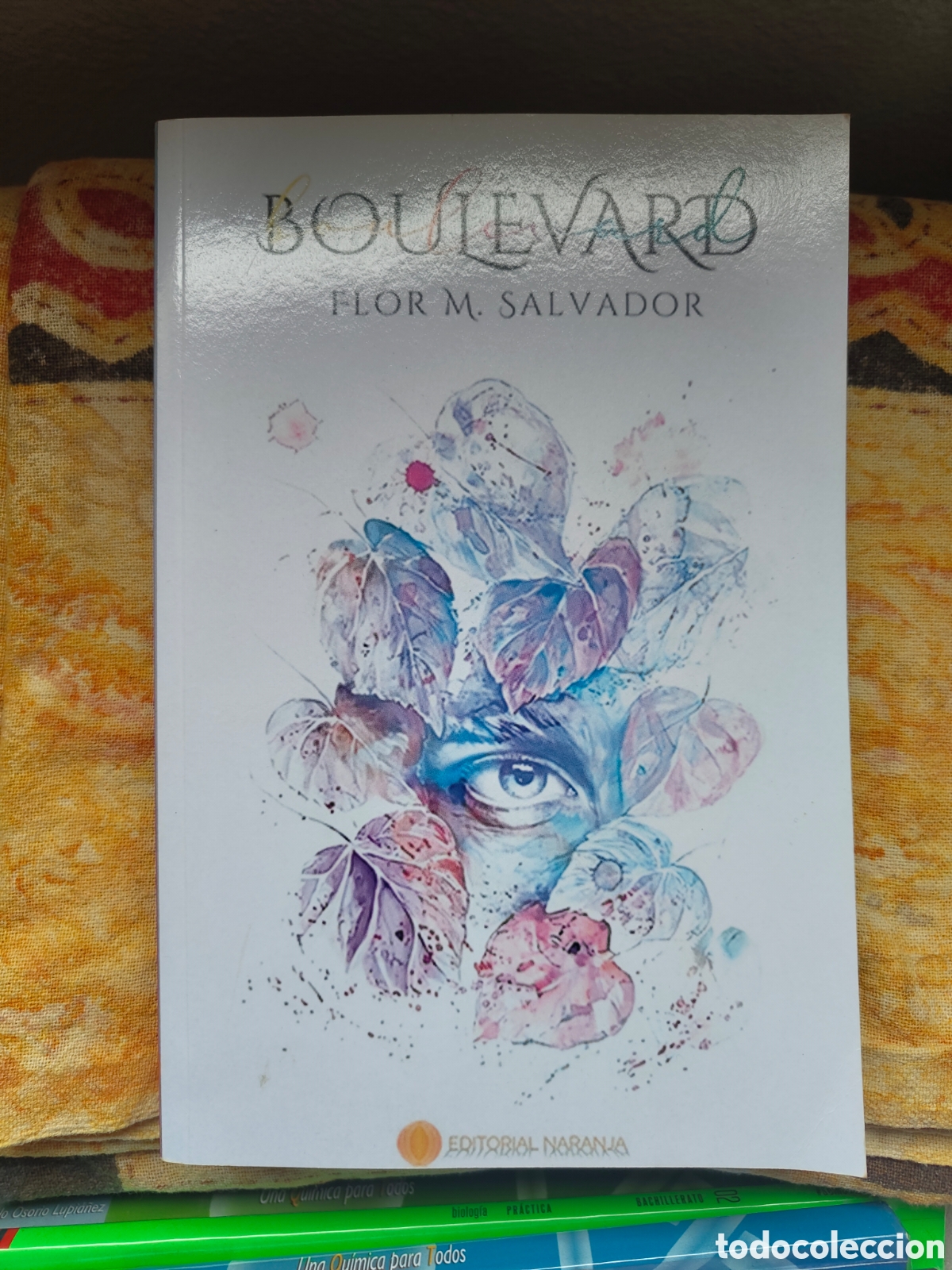 Libros: Boulevard - Flor M. Salvador