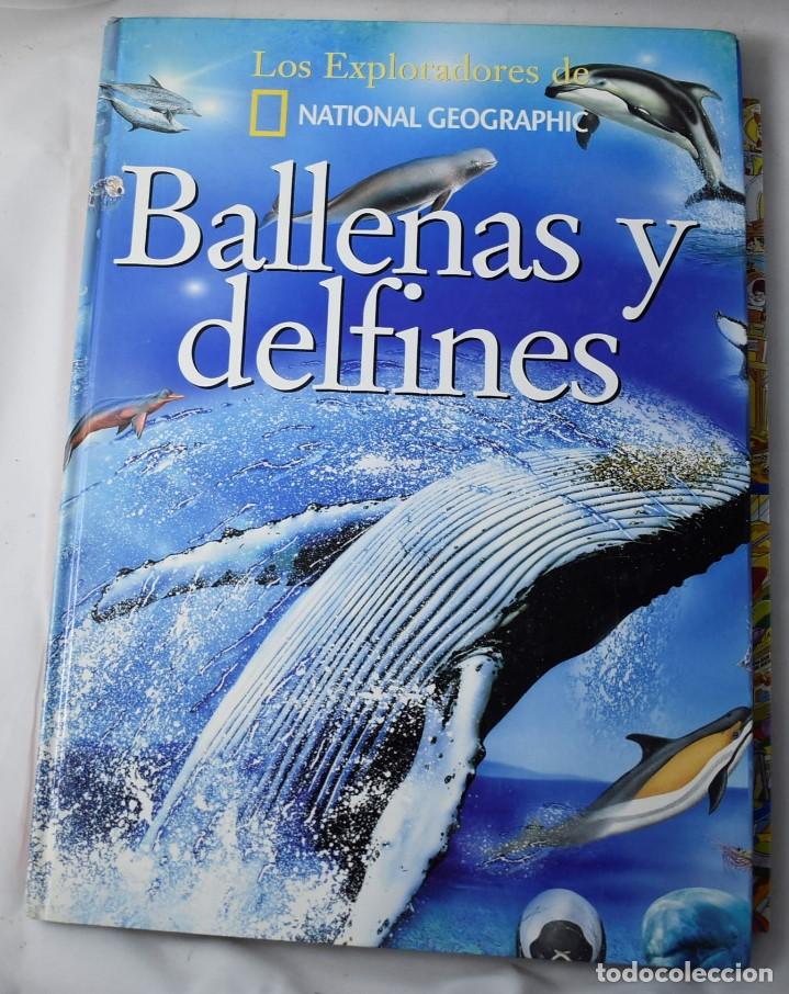 Libros nuevos de relatos y cuentos: BALLENAS Y DELFINES. BRONWYN SWEENEY. - Foto 1