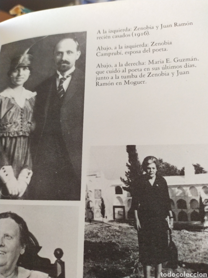 Libros nuevos de relatos y cuentos: Platero y Yo - Foto 3