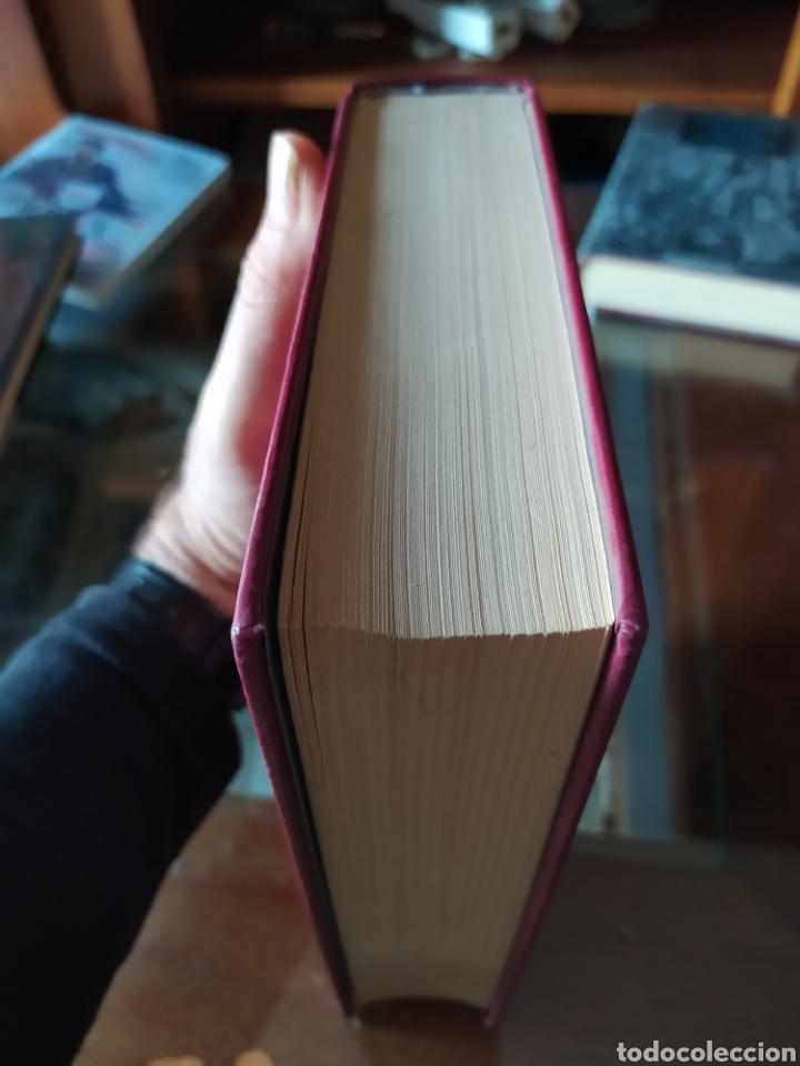 Libros nuevos de relatos y cuentos: Don Quijote de la mancha 2 - Foto 3