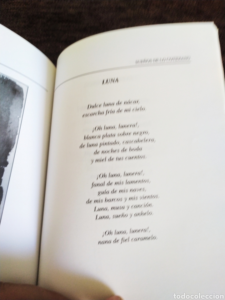 Libros nuevos de relatos y cuentos: Sue&ntilde;o de lo cotidiano : arahal. - Foto 3