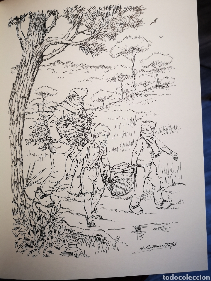 Libros nuevos de relatos y cuentos: Libro &rdquo;Contes dUlldocell&rdquo; (Antoni Boada) - Foto 3