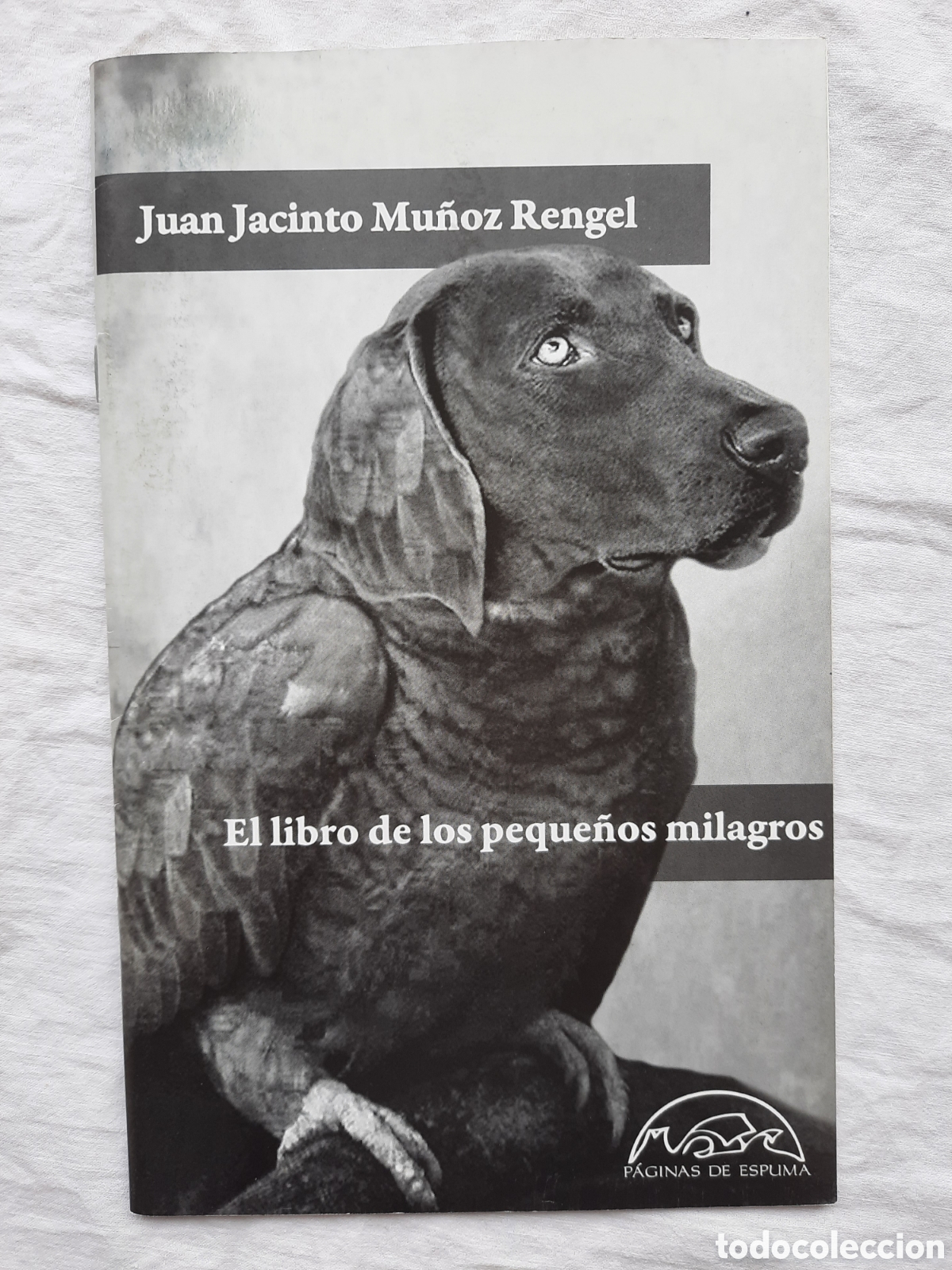 Libros nuevos de relatos y cuentos: El libro de los peque&ntilde;os milagros (extracto) - Foto 1