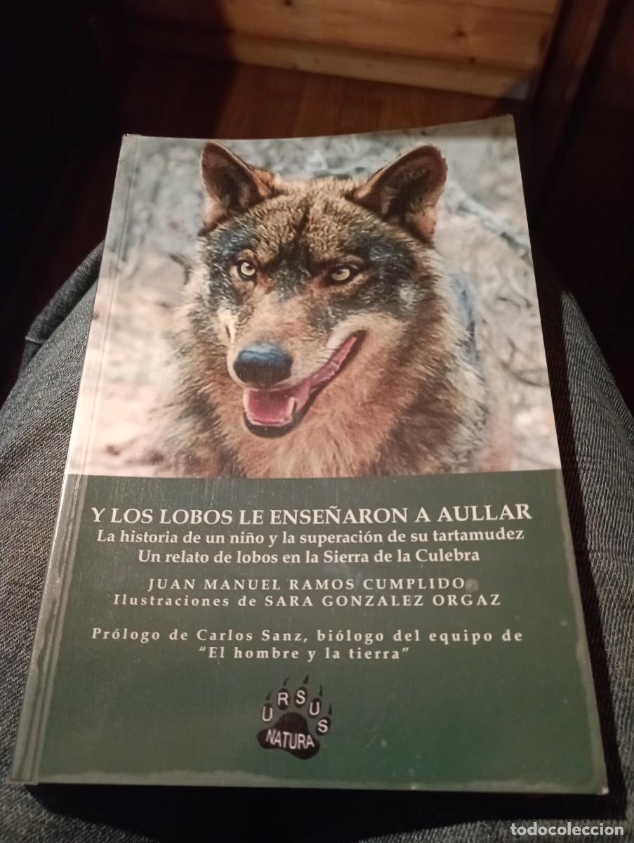 Libros nuevos de relatos y cuentos: Y los lobos le ense&ntilde;aron a aullar - Foto 1
