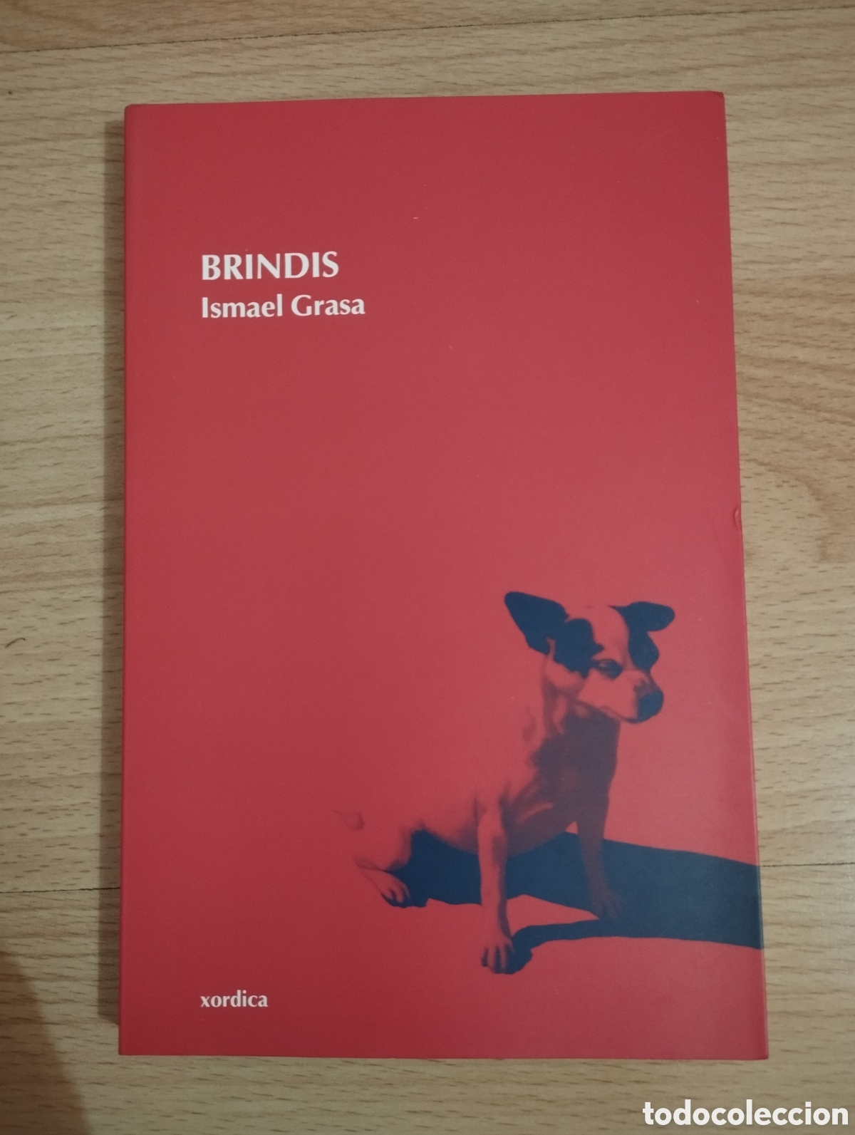Libros nuevos de relatos y cuentos: Brindis. Ismael Grasa - Foto 1
