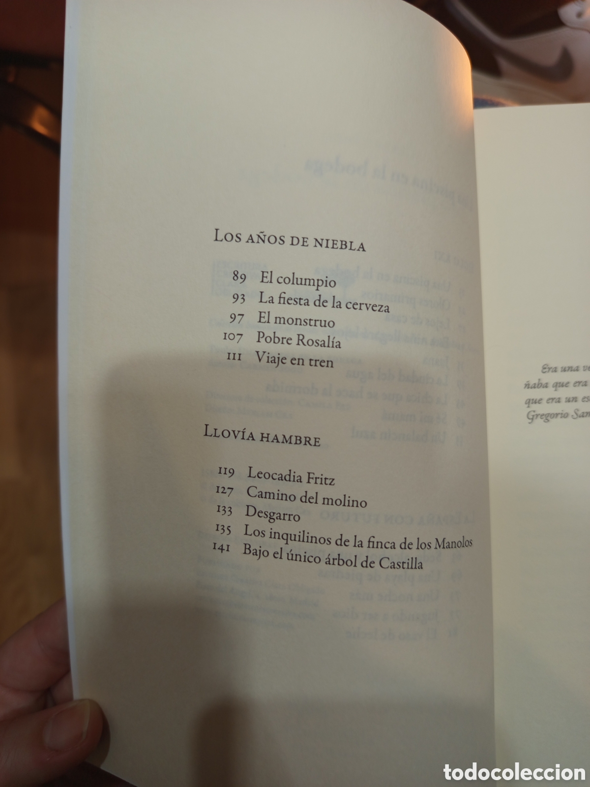Libros nuevos de relatos y cuentos: Una piscina en la bodega. Carmen Sogo - Foto 4