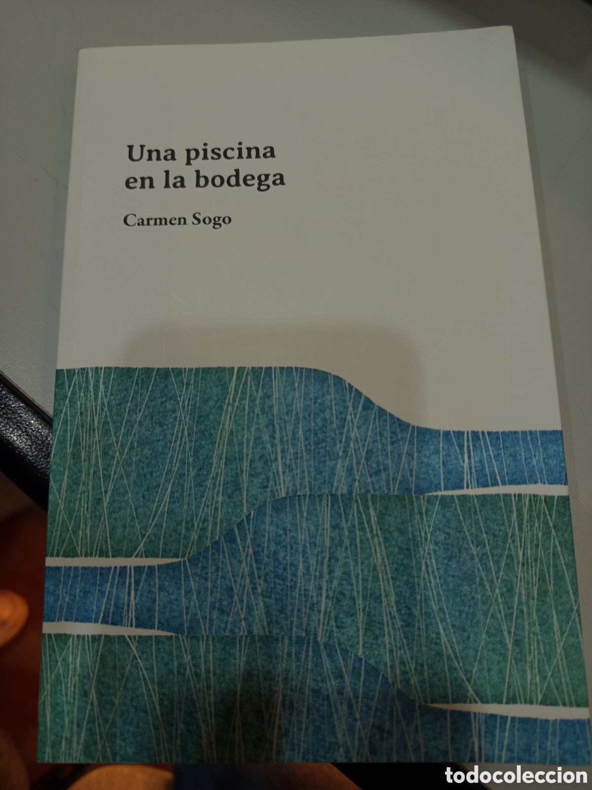 Libros nuevos de relatos y cuentos: Una piscina en la bodega. Carmen Sogo - Foto 1