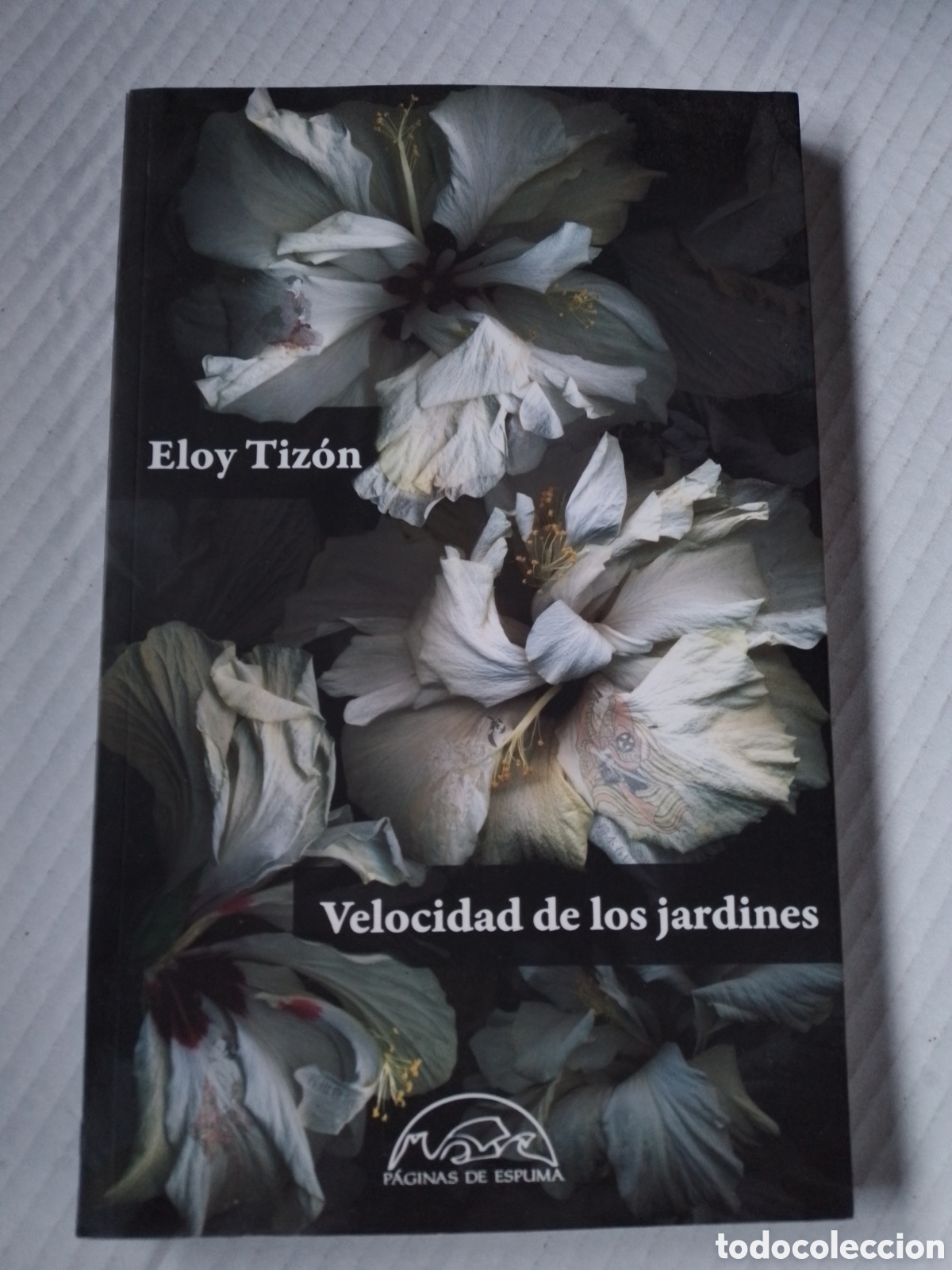 Libros Nuevos de Relatos y Cuentos: VELOCIDAD DE LOS JARDINES - ELOY TIZON