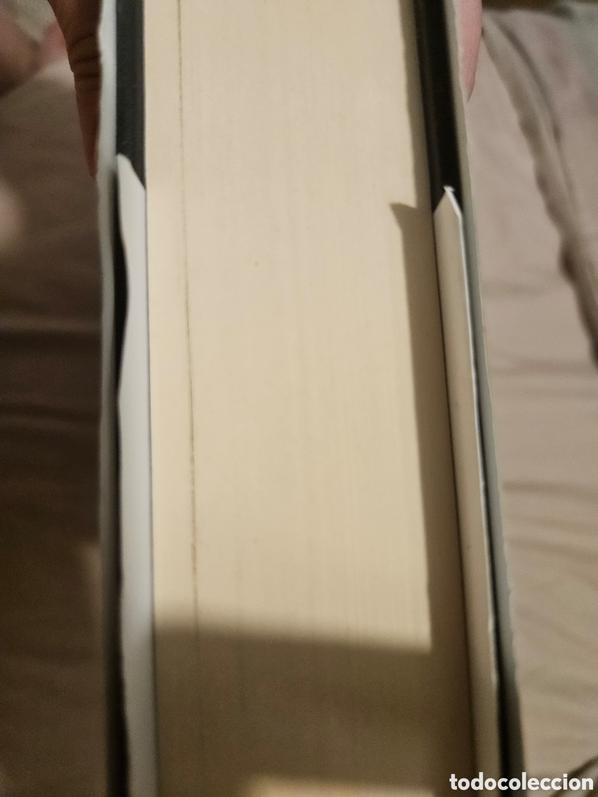 Libros nuevos de relatos y cuentos: Libro. El teatro de los hermanos seagrave - Foto 5