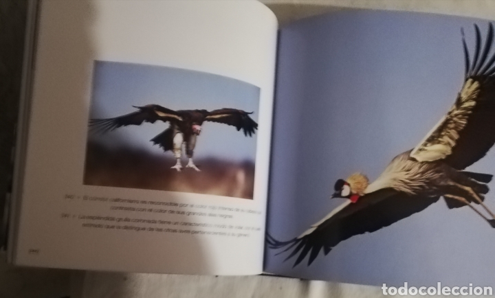 Libros: El aire, Cube Book, nuevo - Foto 5