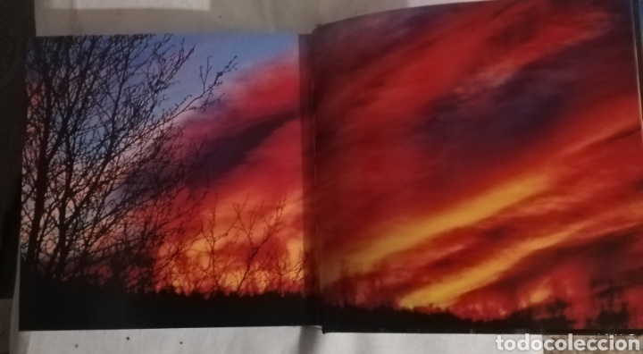 Libros: El aire, Cube Book, nuevo - Foto 6
