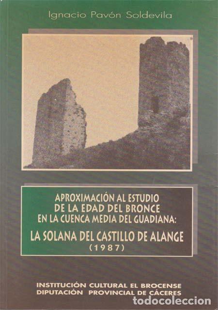 Libros: APROXIMACION AL ESTUDIO DE LA EDAD DEL BRONCE EN LA CUENCA MEDIA DEL GUADIANA: LA SOLANA DEL CASTILL