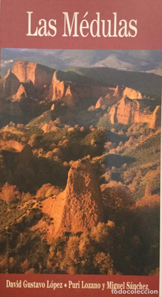 Libros: Las M&eacute;dulas. Ref: AX 502 - Foto 1