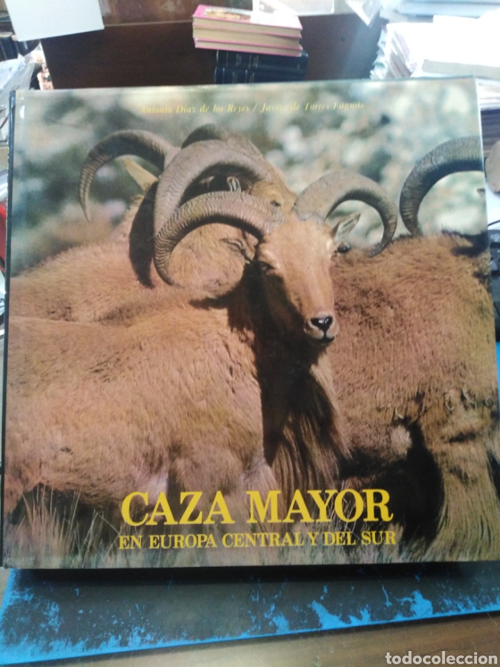 Libros: CAZA MAYOR EN EUROPA CENTRAL Y DEL SUR-D&Iacute;AZ DE LOS REYES,TORRES FAGUAS,1990,PROFUSAMENTE ILUSTRADO
