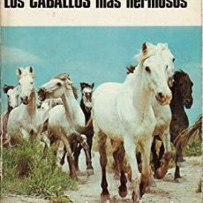 Libros: LOS CABALLOS MAS HERMOSOS DOMINIC KLEIN. Lote 231978540