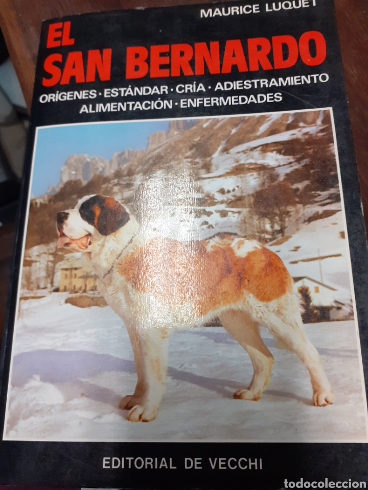 Libros: El San Bernardo - Foto 1