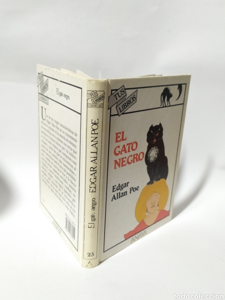 Libros: Anaya Tus libros de intriga,El gato negro.Edgar Alan poe., 6°edición 1991 - Foto 2 - 235850970