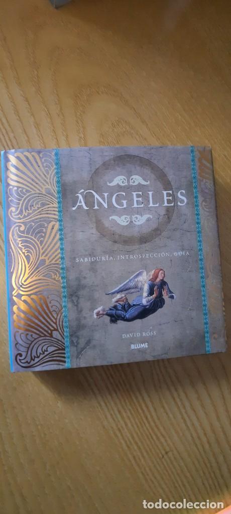 Libros: Angeles . Blume. - Foto 1