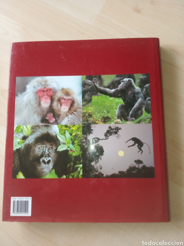 Libros: Dedicado a los primates - Foto 2