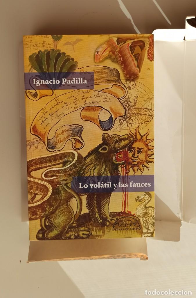 Libros: Micropedia - Ignacio Padilla - P&aacute;ginas de espuma - Foto 10