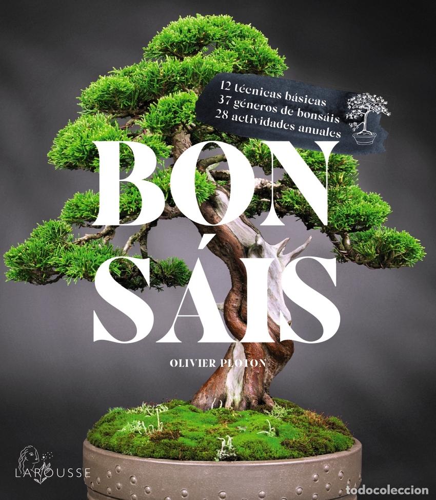 Libros: Bons&aacute;is - Samson, R&eacute;my - Foto 1