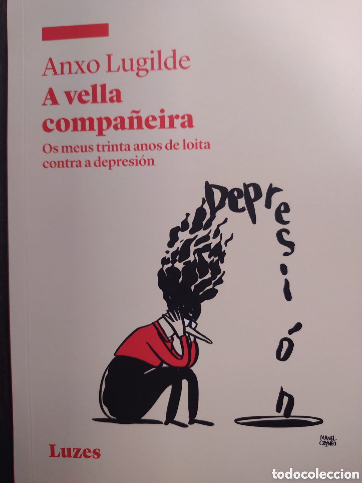 Libros: A Vella compa&ntilde;eira. Anxo Lugilde - Foto 1