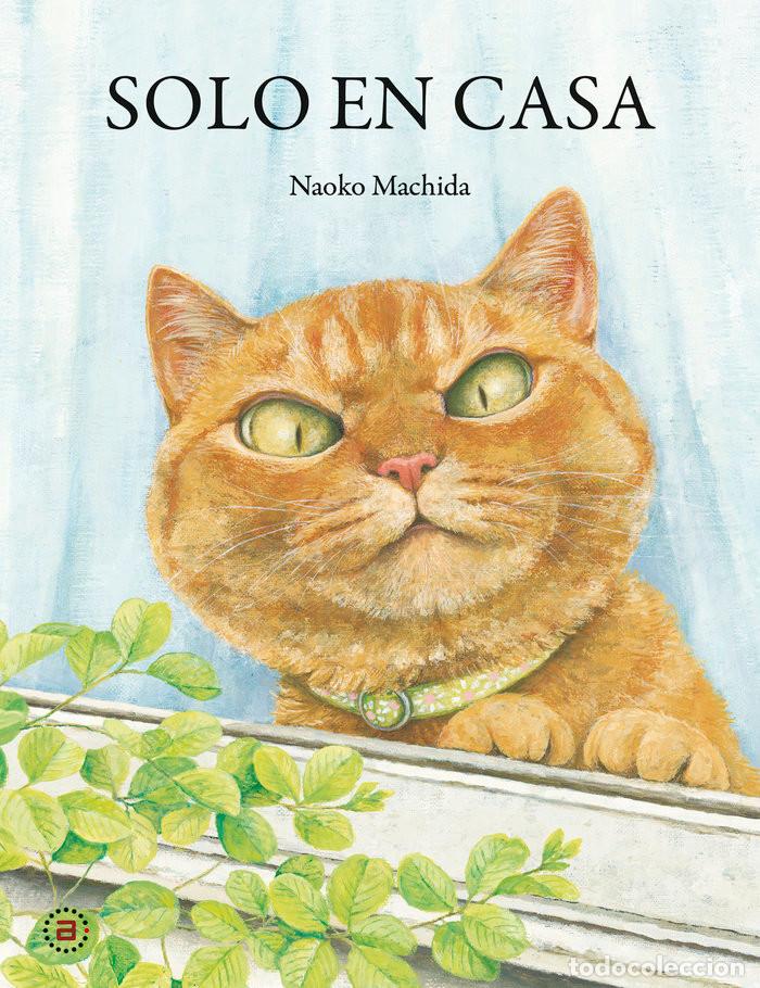 Libros: Solo en casa - Foto 1
