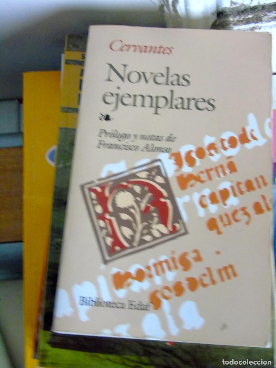 Libros: NOVELA EJEMPLARES CERVANTES - Foto 1