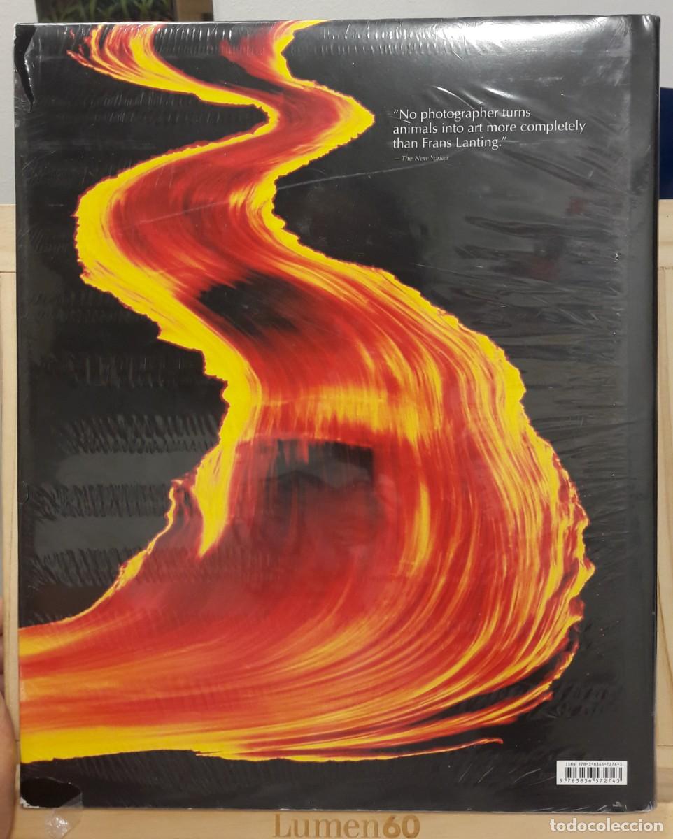 Libros: LIFE - A JOURNEY THROUGH TIME - Foto 2
