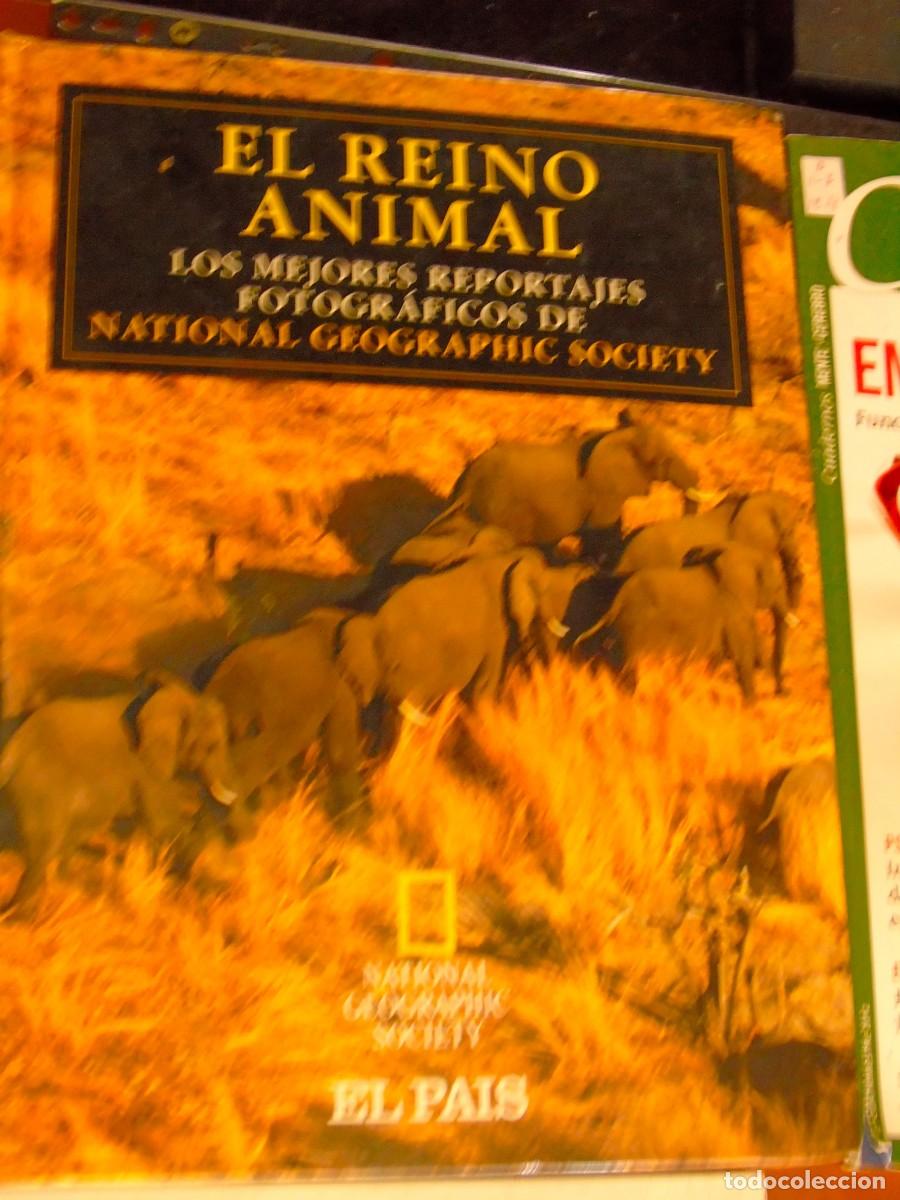 Libri: El reino animal, los mejores reportajes fotogr&aacute;ficos National Geographic society. El Pais 1.996