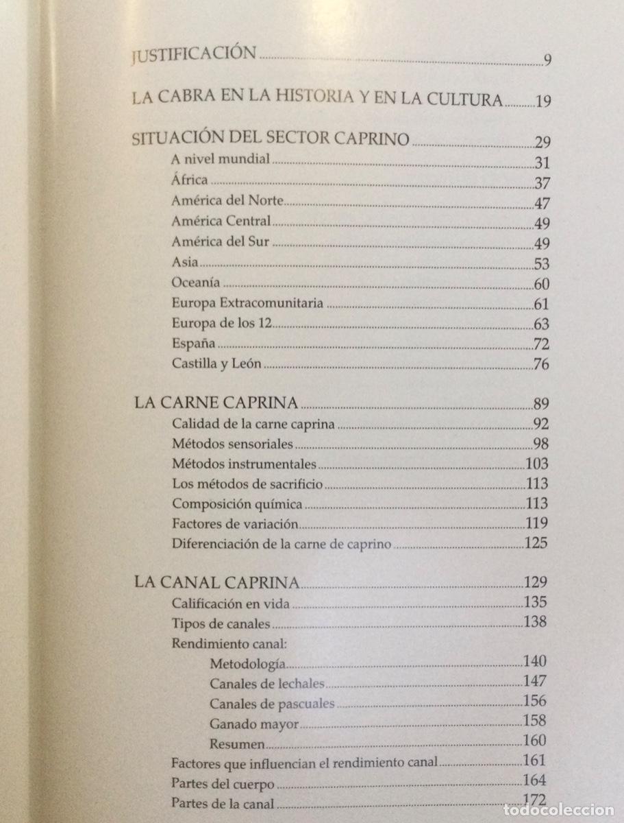 Libros: El Cabrito Lechal. NUEVO - Foto 2