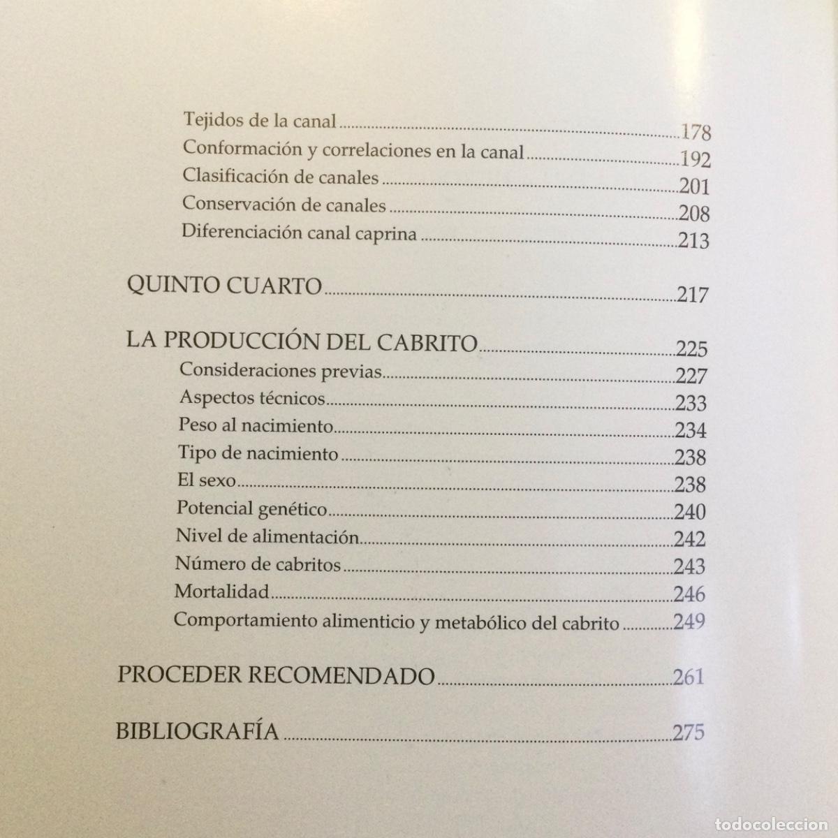 Libros: El Cabrito Lechal. NUEVO - Foto 3