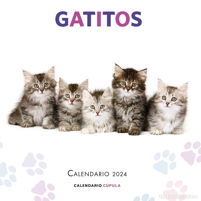 Libri: Calendario Gatitos 2024 - AA. VV.