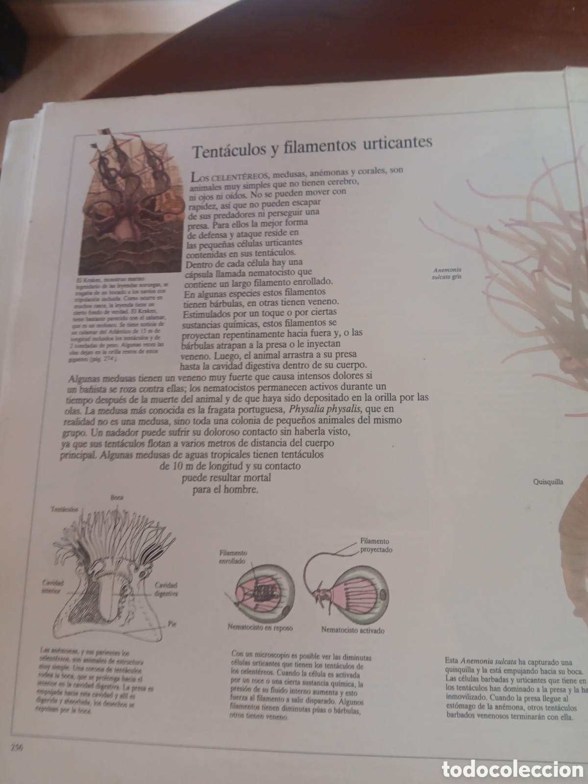 Libros: Enciclopedia visual de los seres vivos, 2 tomos - Foto 5