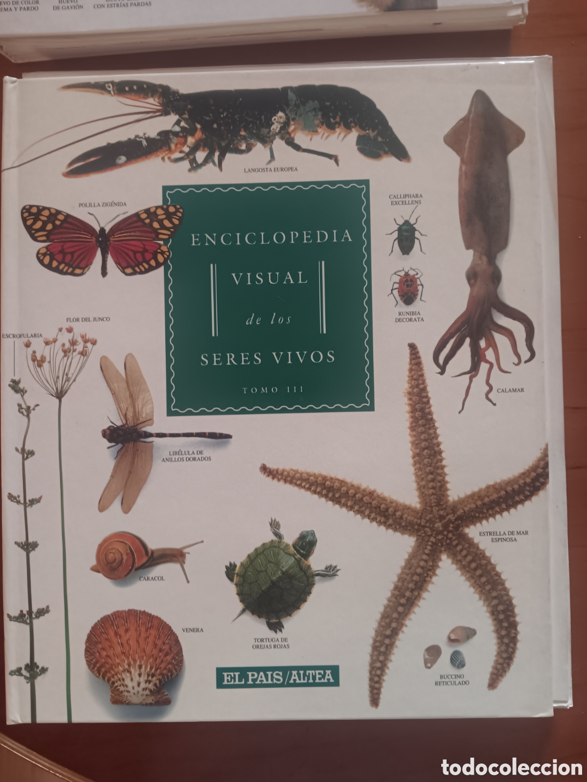 Libros: Enciclopedia visual de los seres vivos, 2 tomos - Foto 2