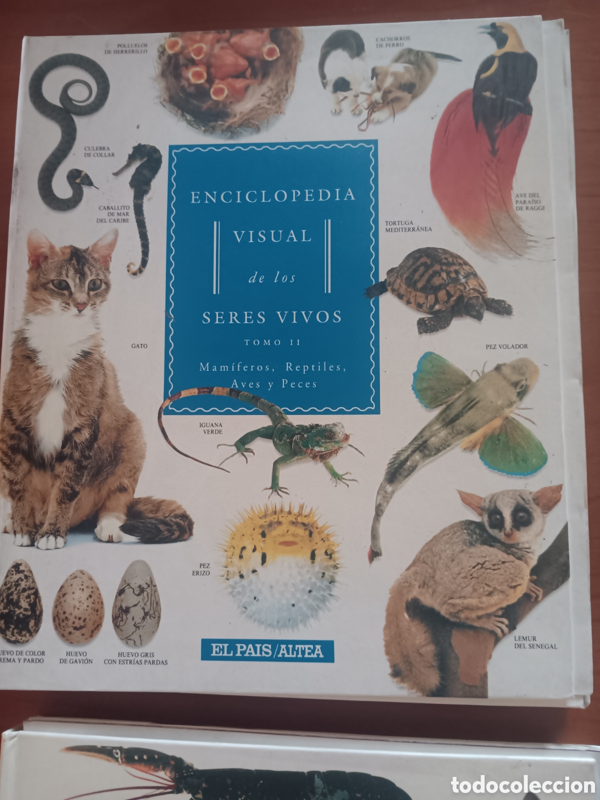 Libros: Enciclopedia visual de los seres vivos, 2 tomos - Foto 3
