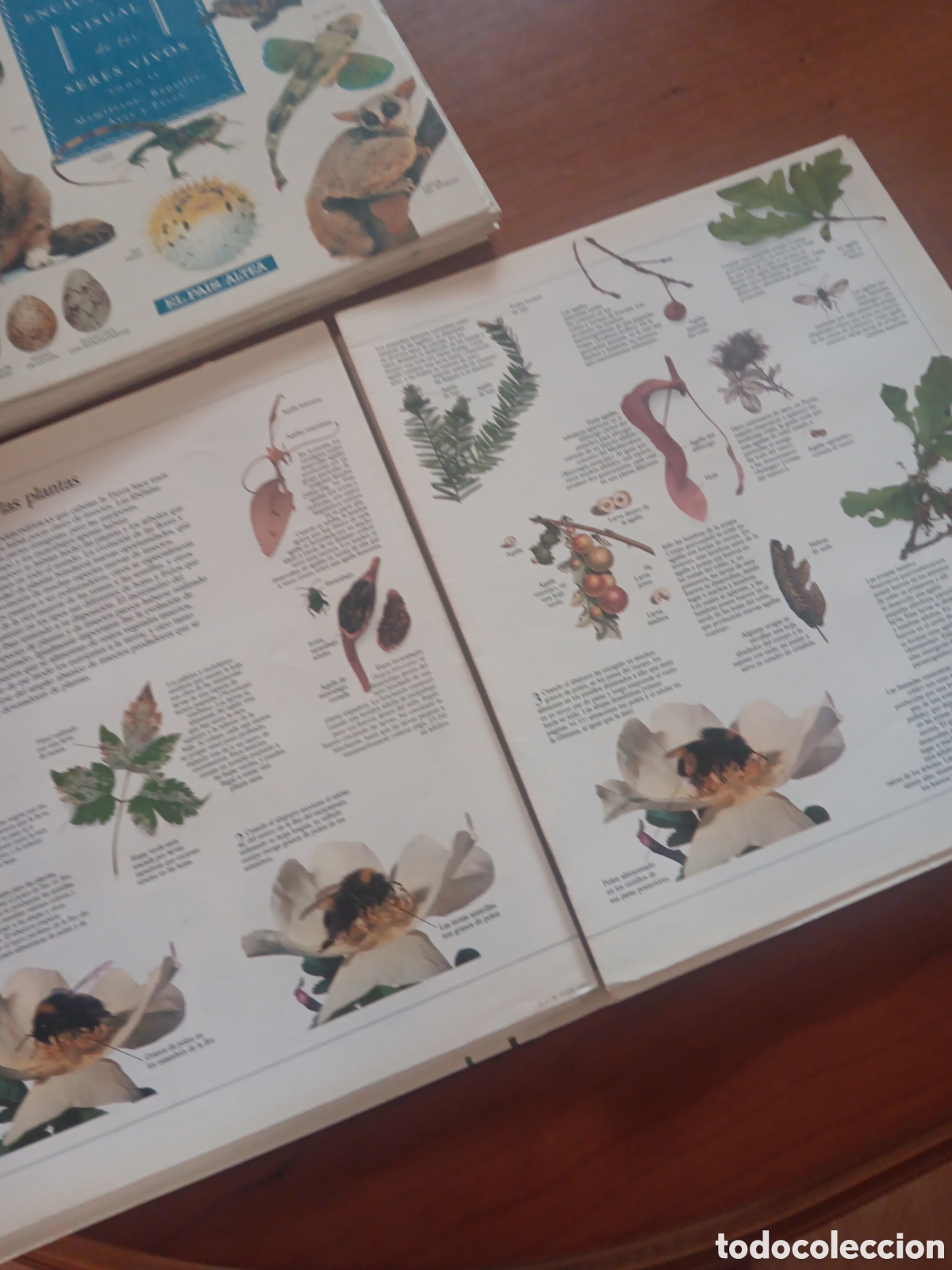 Libros: Enciclopedia visual de los seres vivos, 2 tomos - Foto 4