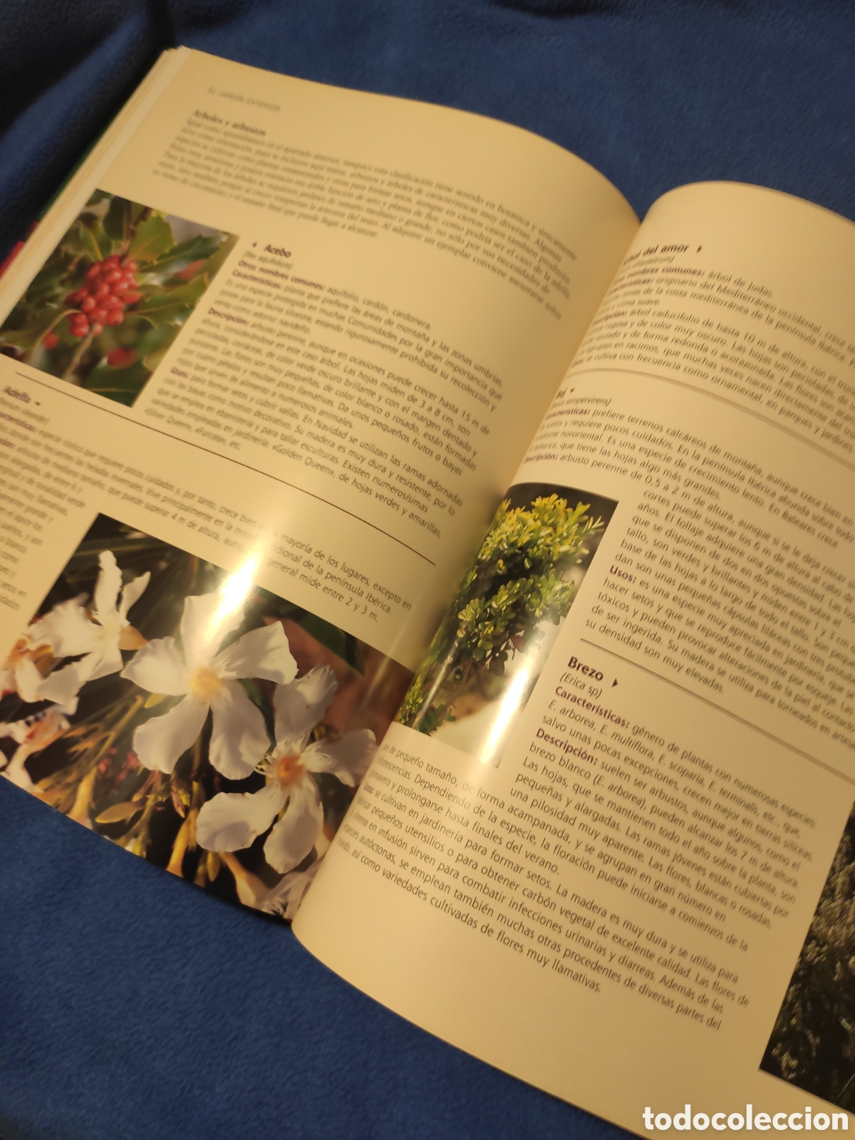 Libros: El gran libro de la jardiner&iacute;a. - Foto 3
