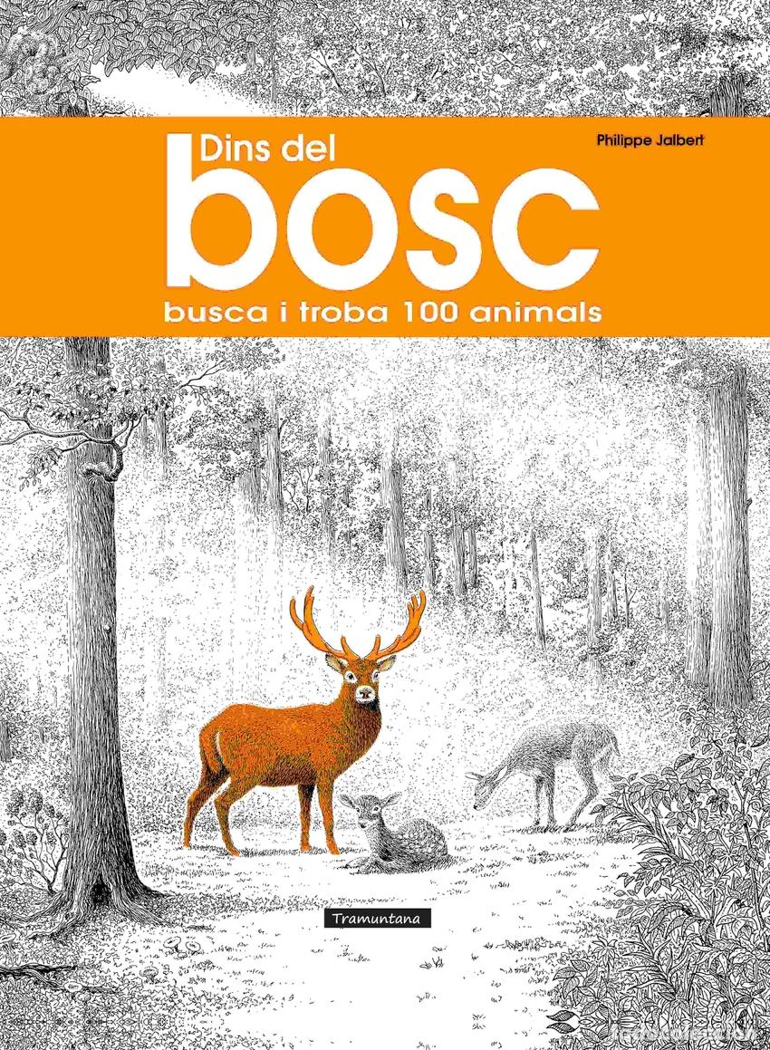 Libros: Dins del bosc - Jalbert, Philippe - Foto 1