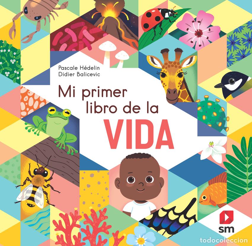Libros: Mi primer libro de la vida - H&eacute;delin, Pascale - Foto 1