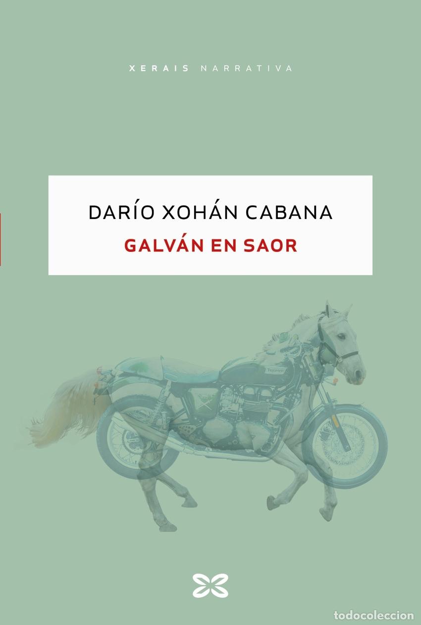 Libros: Galv&aacute;n en Saor - Cabana, Dar&iacute;o Xoh&aacute;n - Foto 1
