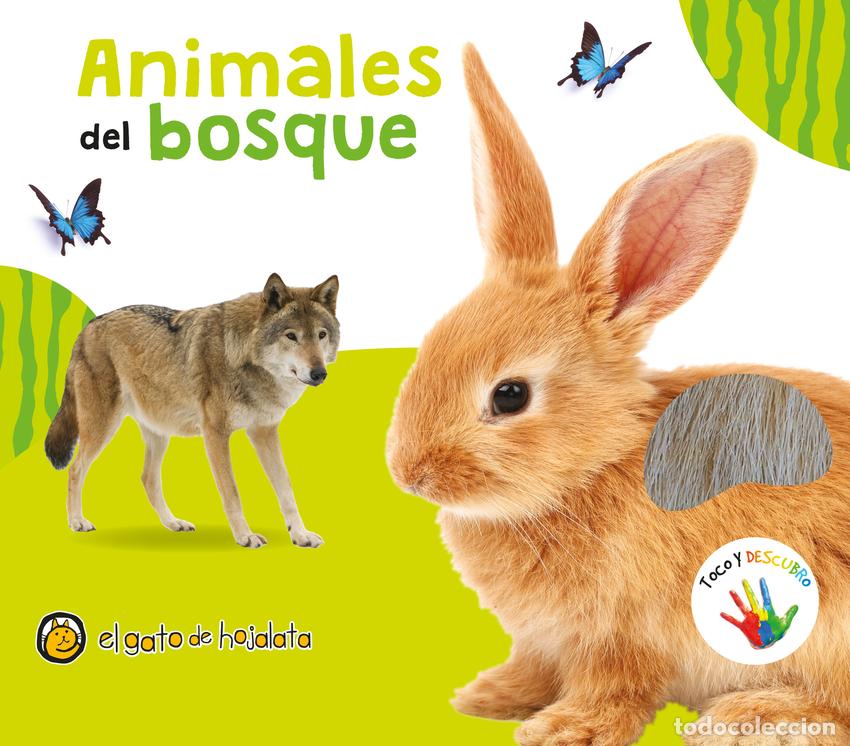 Libros: Animales del bosque - AA.VV. - Foto 1