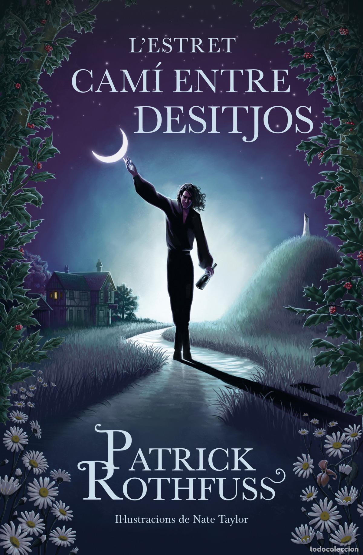 Libros: Lestret cam&iacute; entre desitjos - Rothfuss, Patrick - Foto 1