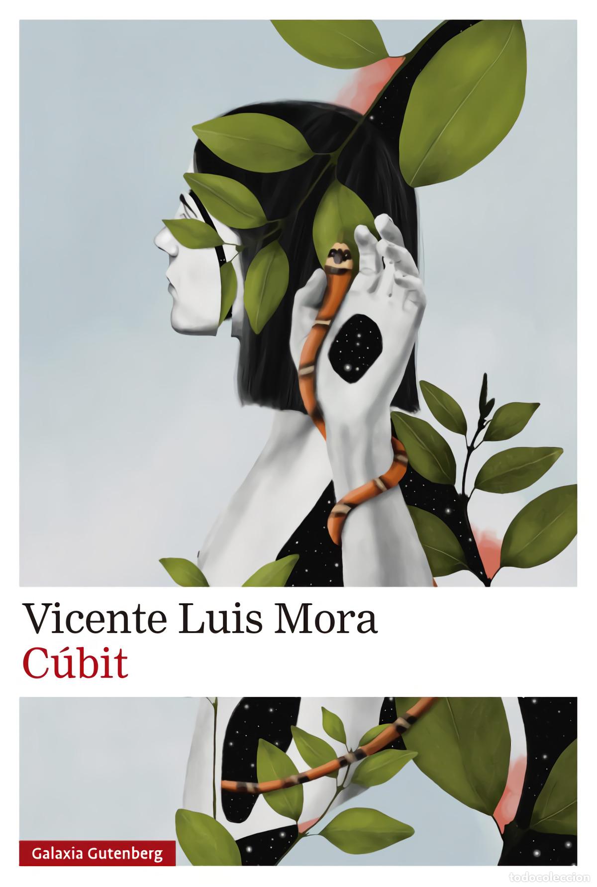 Libros: C&uacute;bit - Mora, Vicente Luis - Foto 1