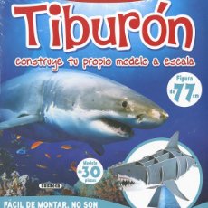 Libros: TIBURON - CUENCA, ROCIO