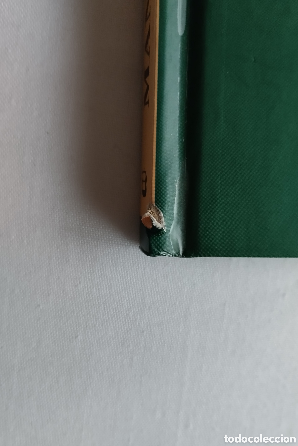 Libros: Manual del CARNESTOLTES - Foto 8