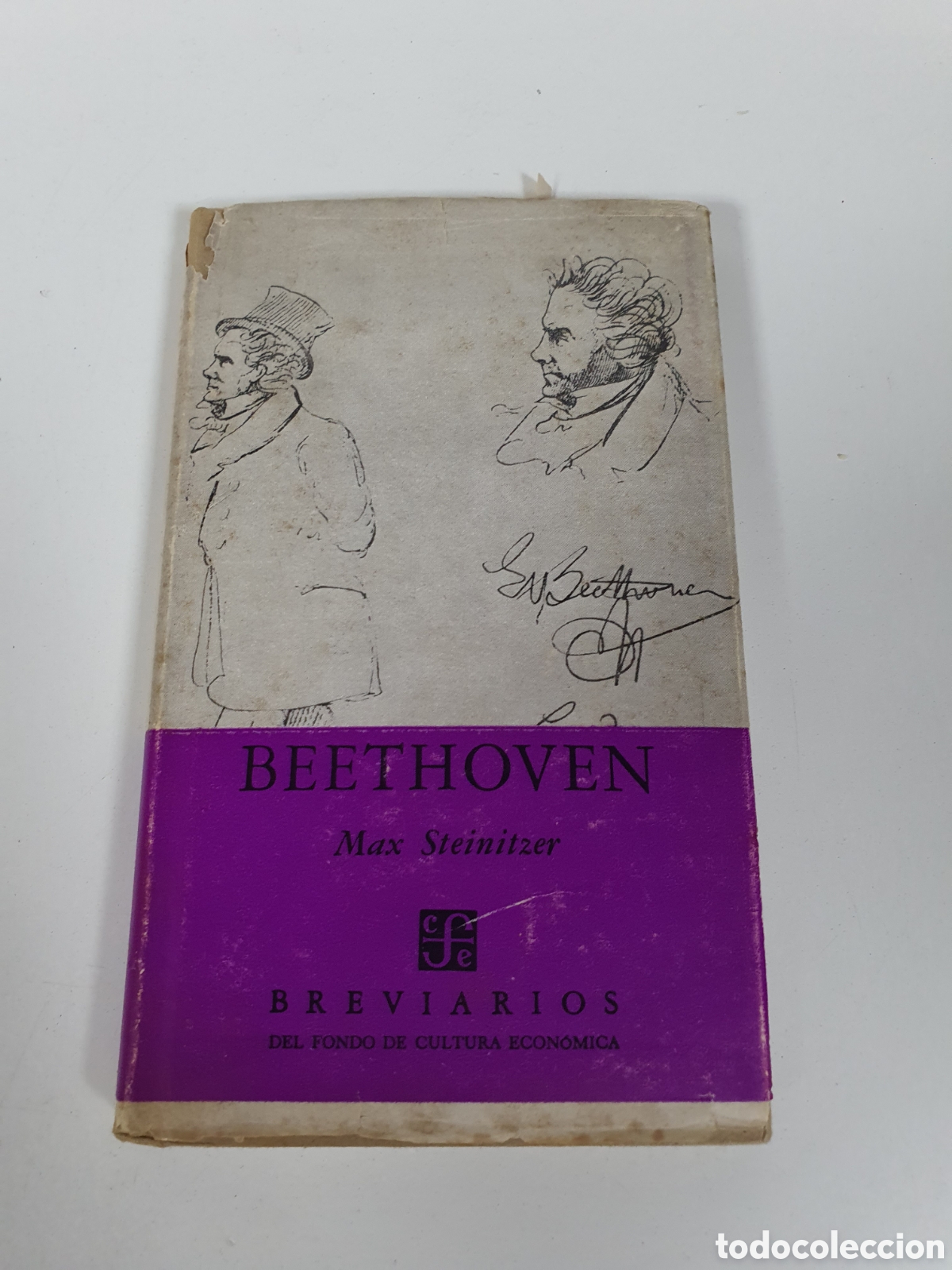 Libros: Libro beethoven max stei - Foto 1
