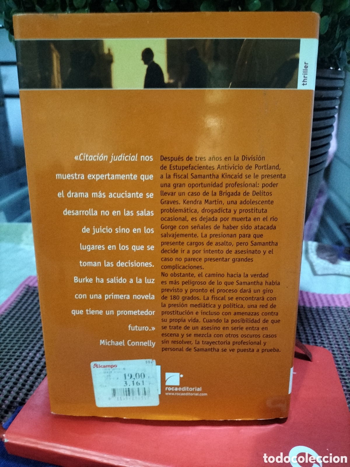 Libros: Libro de : Alafair Burke. - Foto 2