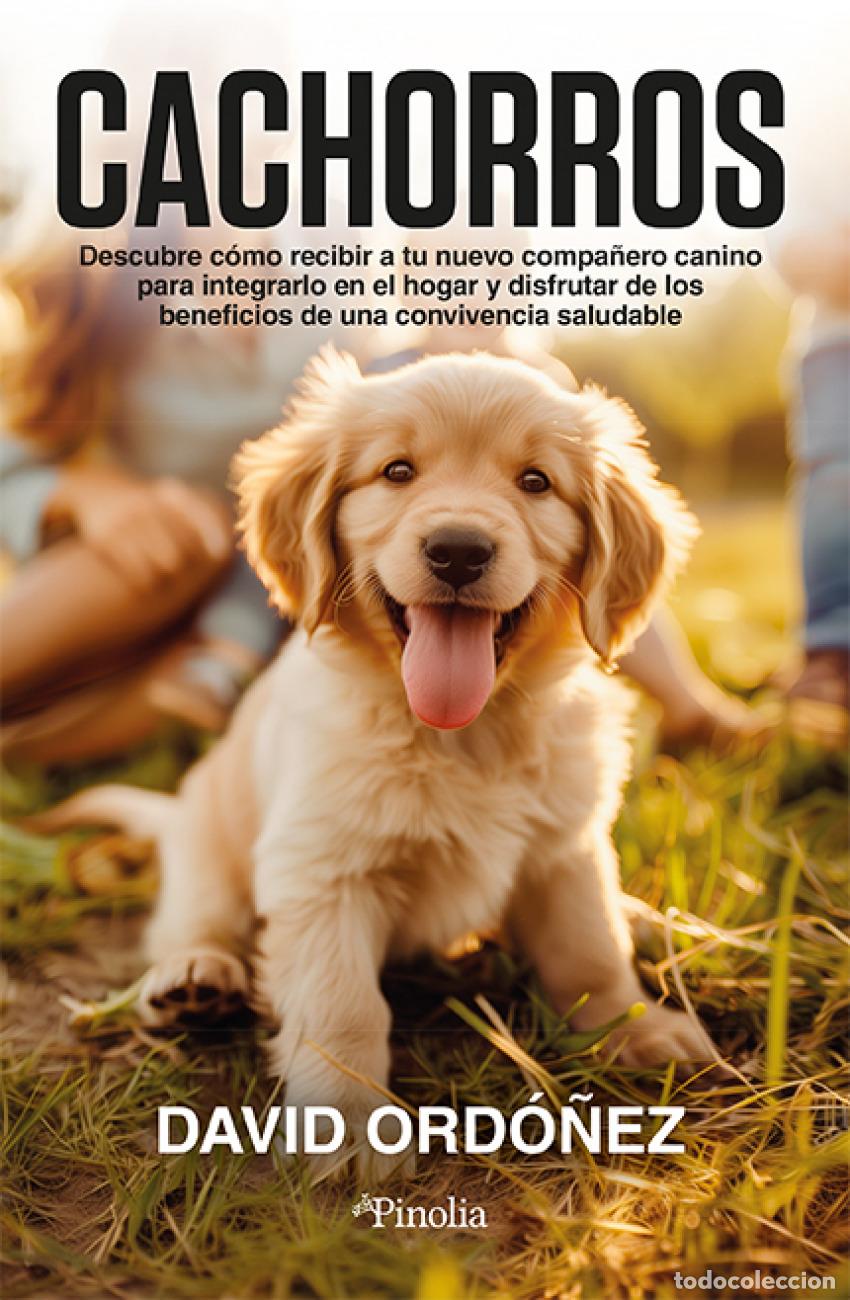 Libros: CACHORROS - ORD&Oacute;&Ntilde;EZ P&Eacute;REZ, DAVID - Foto 1